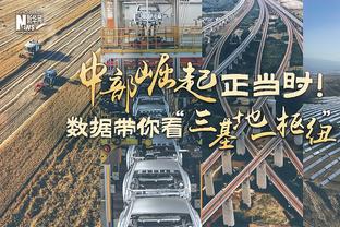 约基奇生涯共117次三双 对阵鹈鹕有10次&同一对手最多